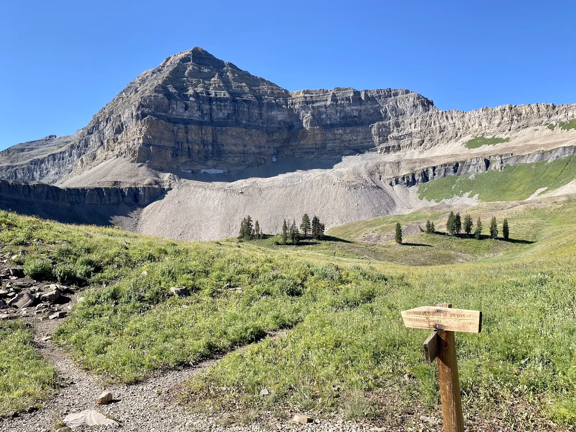 Exploring the Art of Urban Hiking: Discovering Cities on Foot